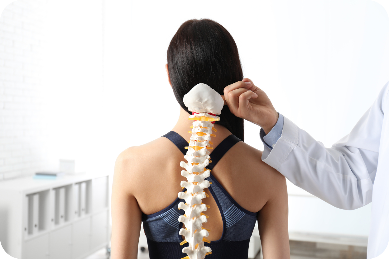 Fisioterapeuta examinando a coluna vertebral de uma paciente usando um modelo anatômico da coluna (espinha dorsal). A paciente está de costas, e o profissional, de jaleco branco, aponta para o modelo, demonstrando o alinhamento ou a estrutura óssea.